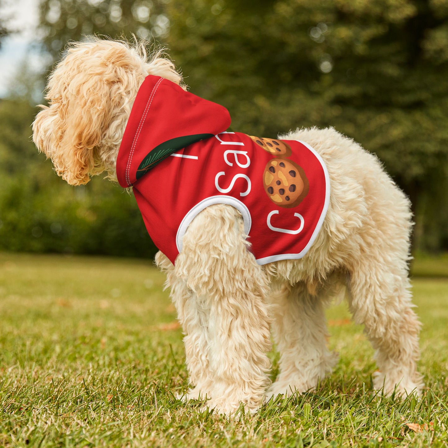 Pet Hoodie